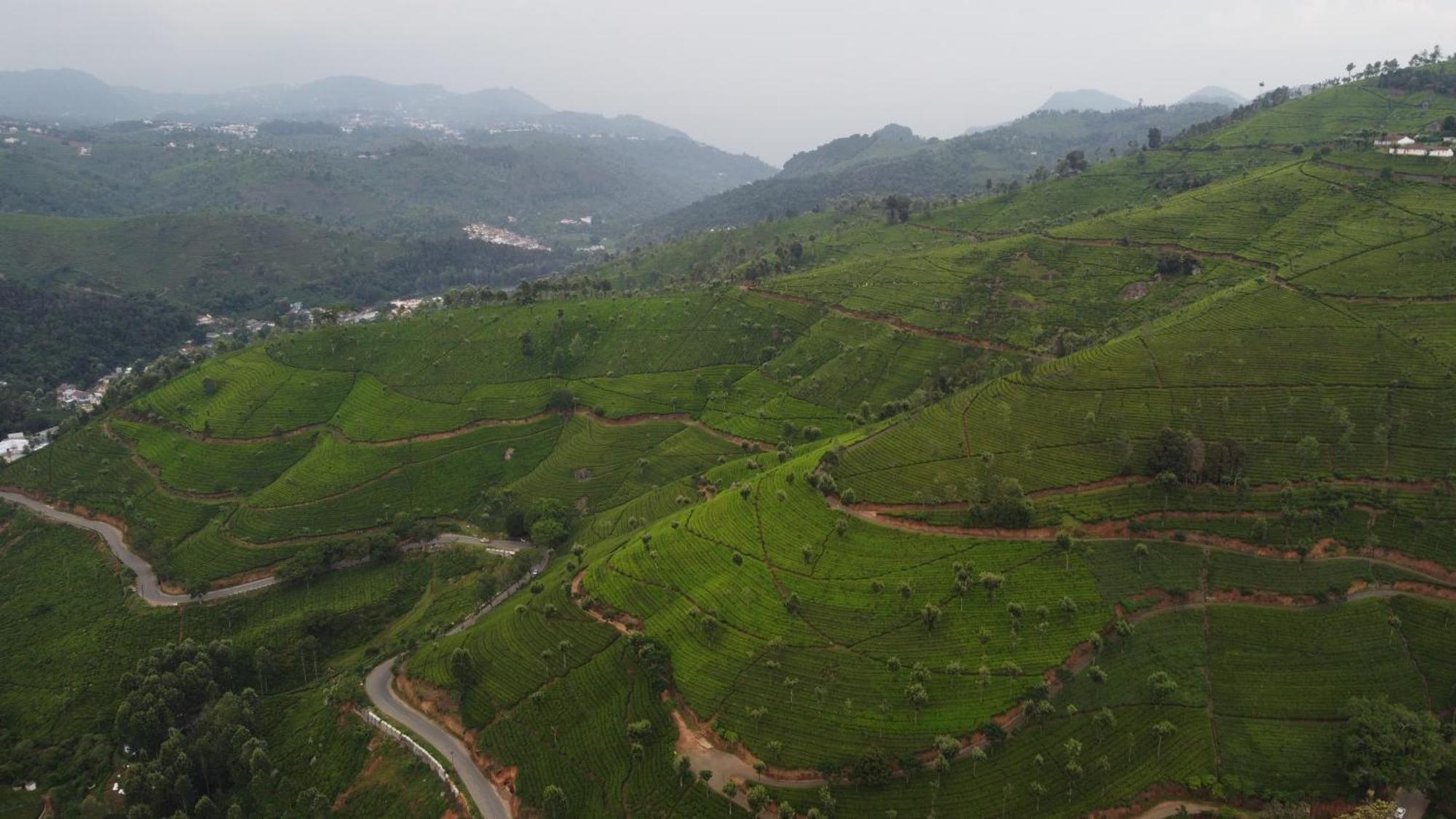 Casa De Selas 乔奥诺奥尔 外观 照片